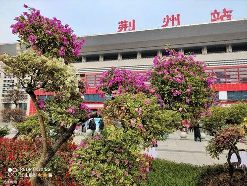 古镇到荆州物流专线公司|古镇到荆州专线|回程车运输