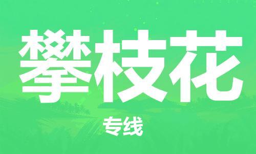 中山横栏镇到攀枝花物流公司-中山横栏镇至攀枝花全程派送