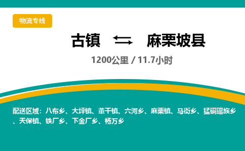 古镇到麻栗坡县物流专线公司|古镇到麻栗坡县专线|回程车运输